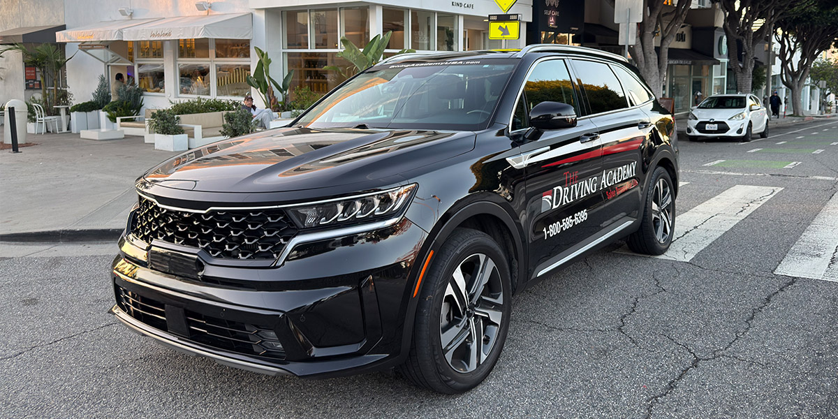 Guided By Experience, Driven By Excellence | The Driving Academy