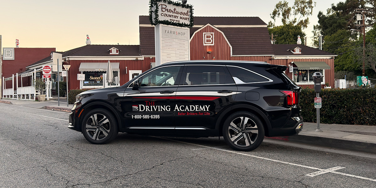 Guided By Experience, Driven By Excellence | The Driving Academy
